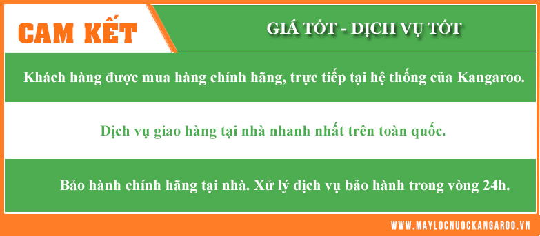 Dịch vụ thay lõi lọc nước Kangaroo tại Hà Đông