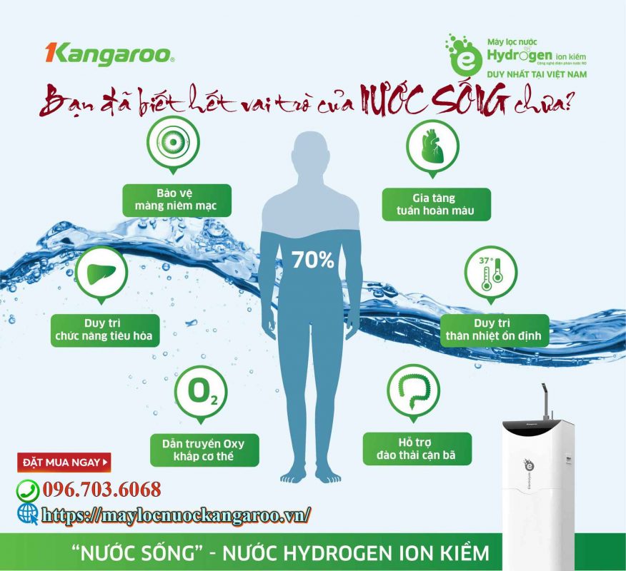 Ban Da Biet Het Vai Tro Cua Nuoc Ben Trong Co The Chua Min