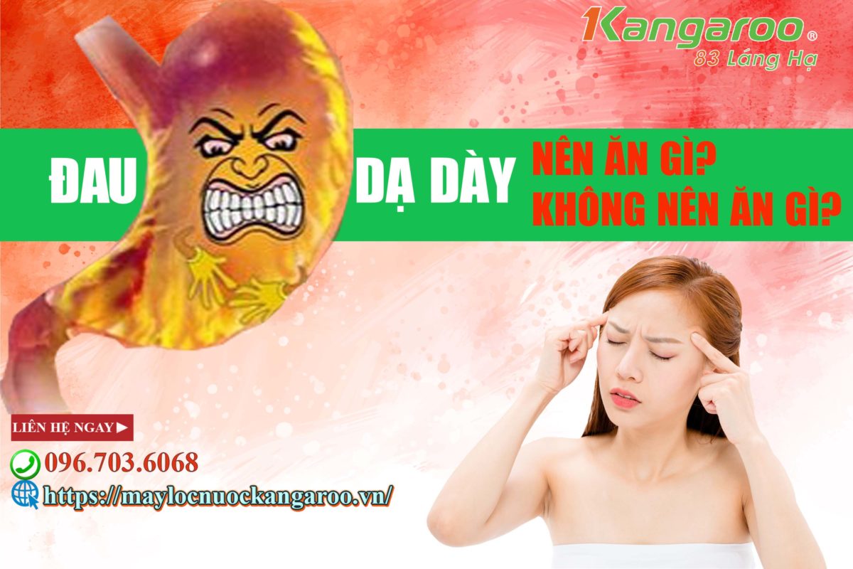 Dau Da Day Nen An Gi Khong Nen An Gi