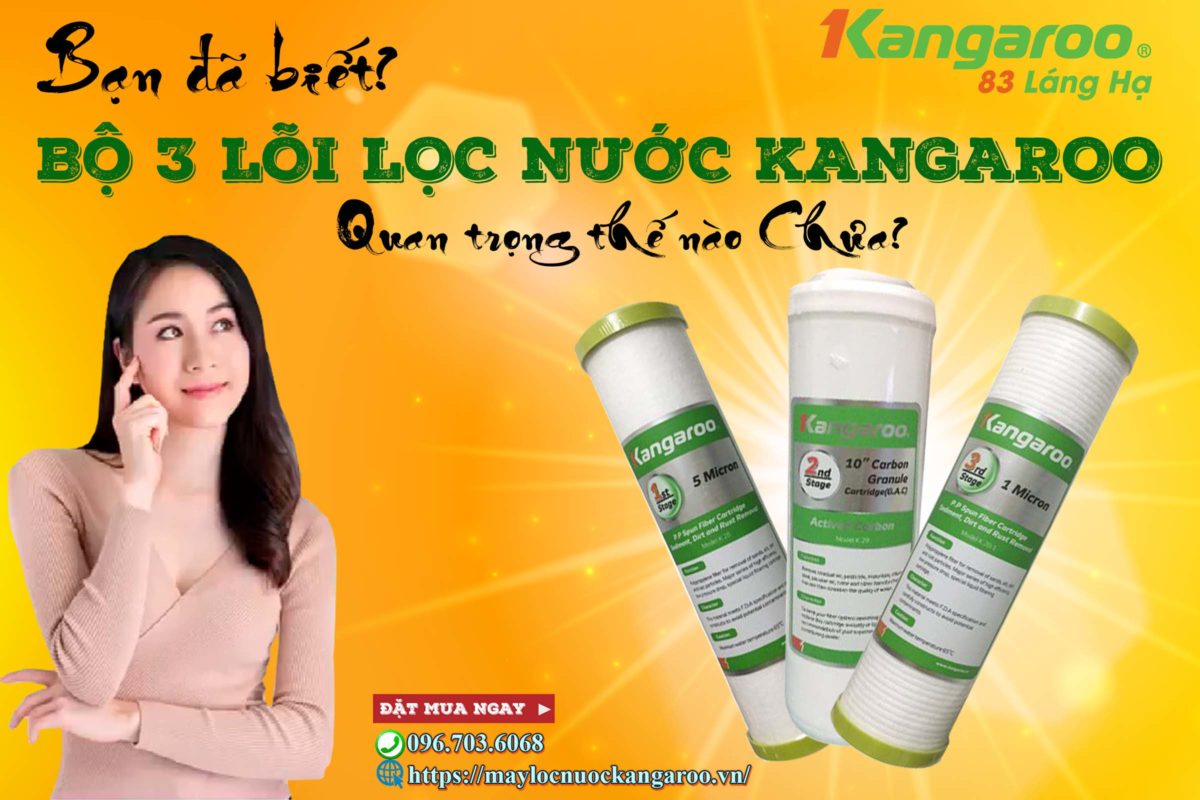 Bạn có biết bộ 3 lõi lọc nước kangaroo quan trọng như thế nào chưa?