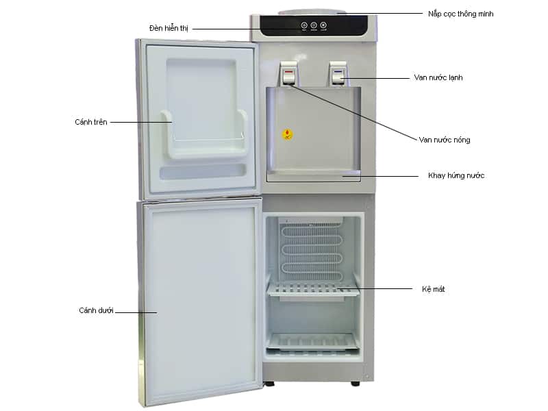 Mô tả cây nước Kangaroo KG3340