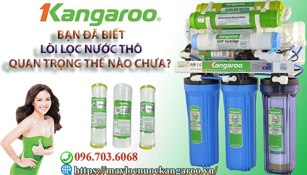 Ban Da Biet Loi Loc Nuoc Tho Quan Trong The Nao Chua Min