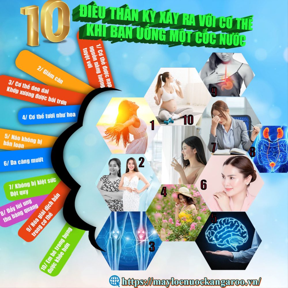 10 Dieu Than Ky Xay Ra Voi Co The Khi Ban Uong Mot Coc Nuoc Loc Min (1)