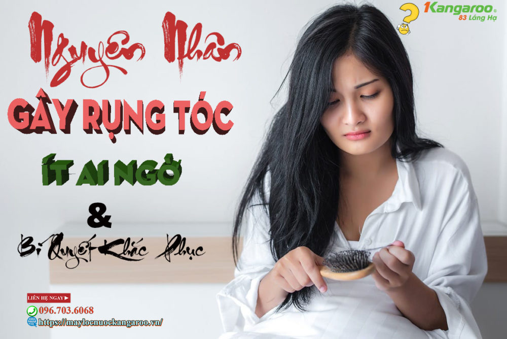 Nguyen Nhan Gay Rung Toc It Ai Ngo Va Bi Quyet Khac Phuc